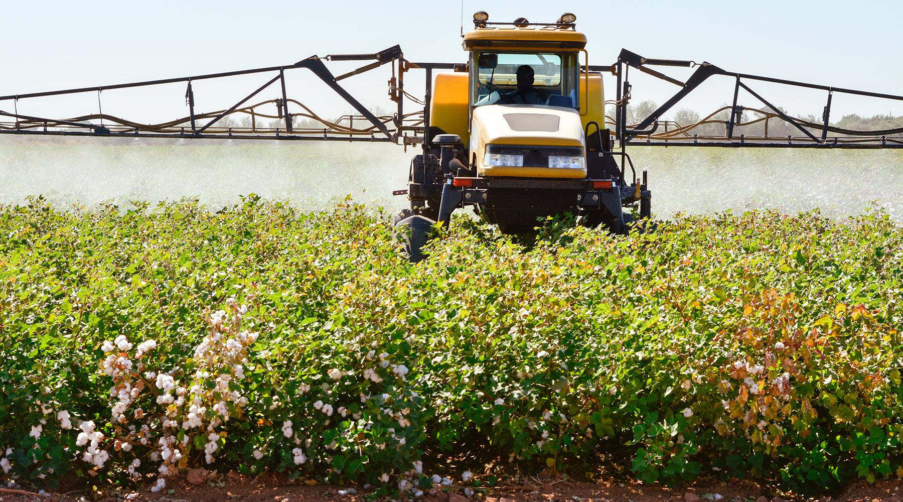 Why Cotton Is Called the World's Dirtiest Crop