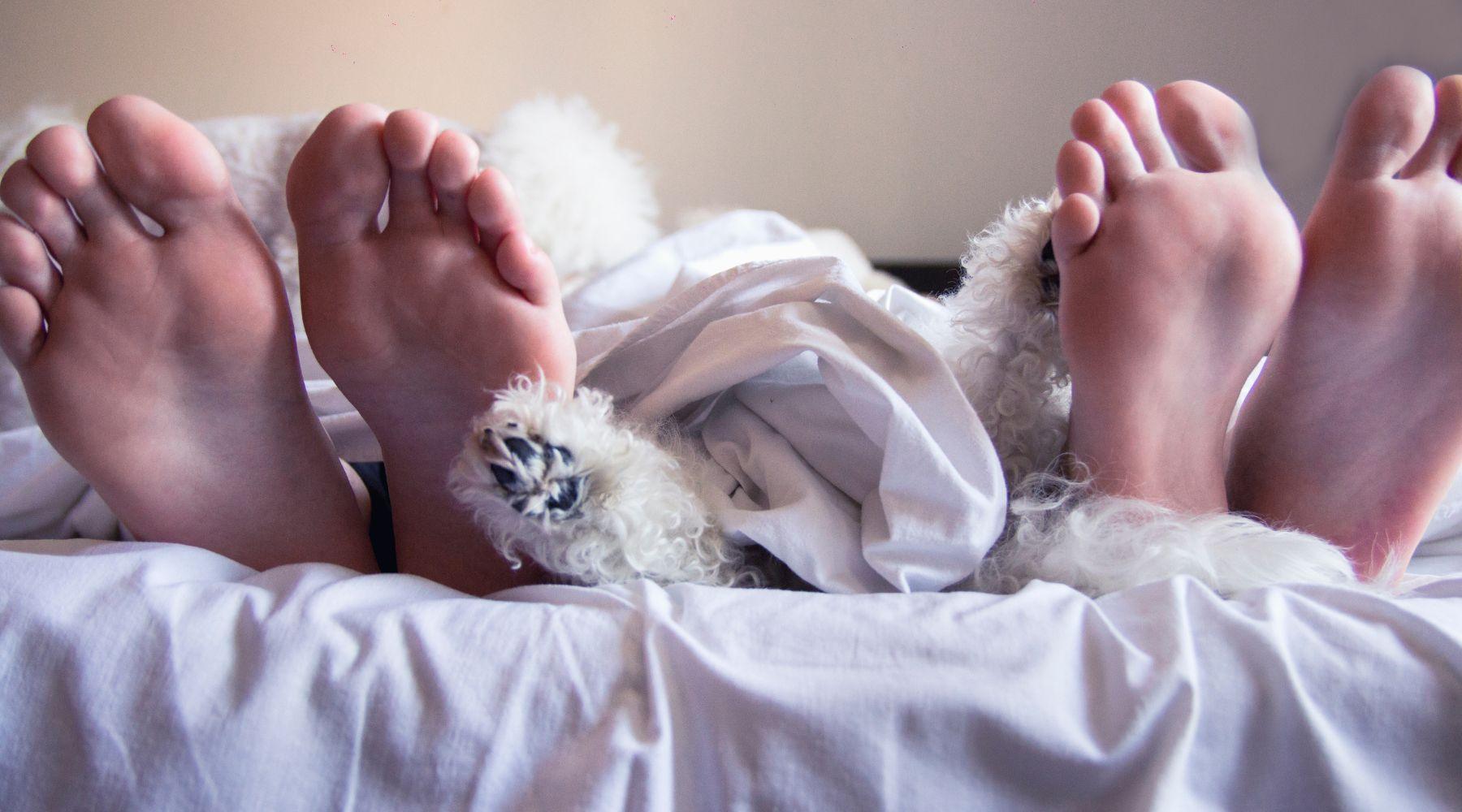 Is Linen Bedding Pet-Friendly?