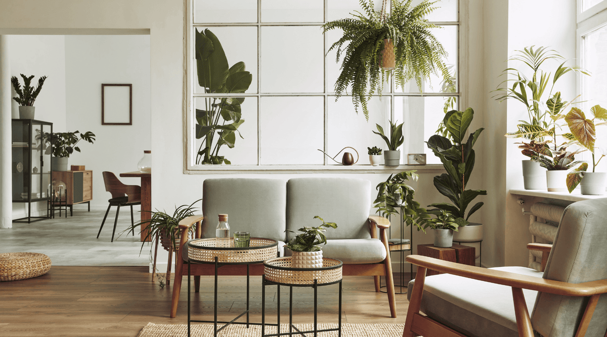 Scandinavian Design Trends for 2025 | The Modern Dane